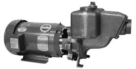 Haight Pumps